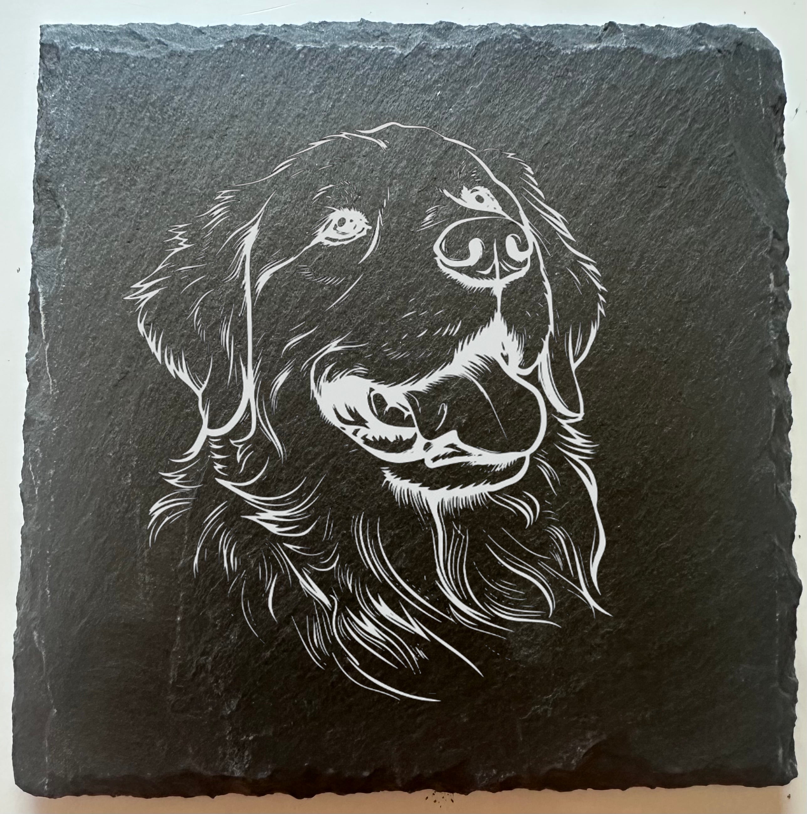 Golden Retriever 