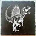 Spinosaurus Dinosaur