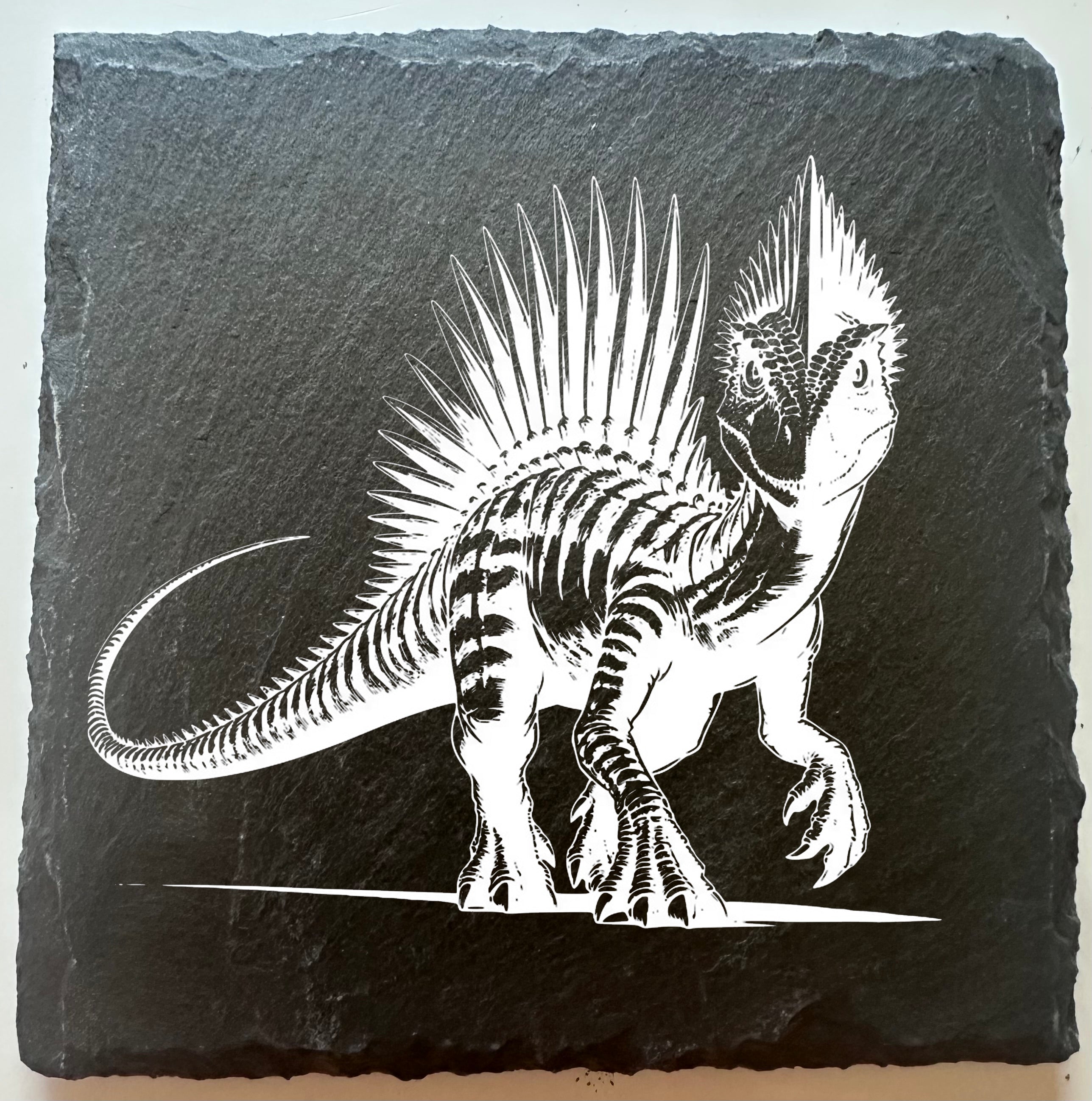 Spinosaurus Dinosaur